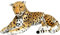 Wagner 2001 - Plüschtier Gepard - liegend - 90 cm