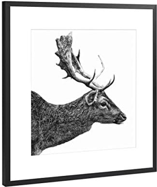 artboxONE Poster mit Rahmen Schwarz (Metallic) 20x20 cm Porträt eines Hirsches von Uwe Merkel - gerahmtes Poster