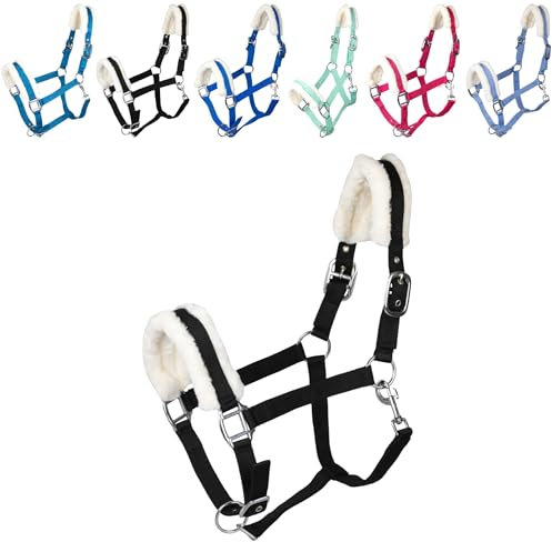 RL24 - Halfter mit Plüschpolsterung Basicline | Halfter für Pferde & Ponys | Pferdehalfter mit nietenverstärkten Verschlüssen & Karabinerhaken zum Öffnen | Pferde Zubehör in Schwarz | Vollblut