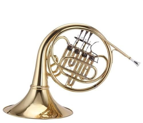 Waldhorn für Anfänger Einreihiges Waldhorn Mit Vier Knöpfen. Waldhorn Aus Vergoldetem Messing In B-Dur Mit Koffer Und Zubehör