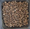 AlmaStore Argilla Espansa per Piante in Vaso | Pacciamante e Drenante per vasi e Fiori | 3 Litri - 5 Litri - 10 Litri (3 Litri)