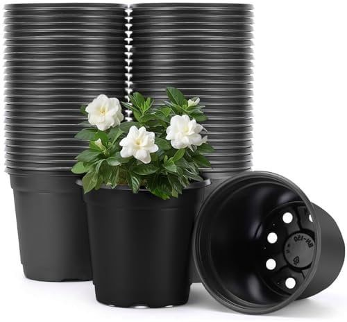 Vockvic 50 Piezas Macetas de Plástico para Plantas, Contenedor de Semillas con Orificios de Drenaje, 10cm Macetas de Plántulas Reutilizables, Pequeña Maceta para Semillas, Succulents, Verdura y Flores