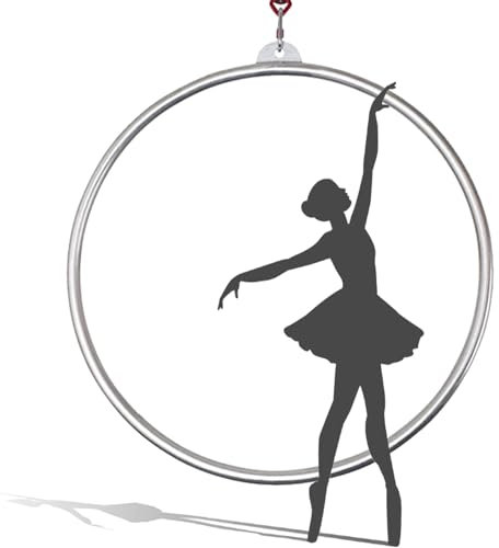 WJFTODAY Aerial Hoop Kit, Aerial Rings Ausrüstung, 90cm Edelstahl Single Point Aerial Ho0cm Edelstahl Single Point Aerial Hoop, Circus Aerial Hoop, Aerial Yoga Hoop für Zuhause, Fitnessstudio, Clubs