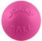 Jolly Pets Ball Bounce-n Play Jouet pour Chien Rose 20 cm