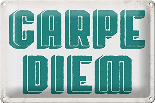 FEMER Blechschild Spruch 30x20cm Carpe Diem nutze den Tag