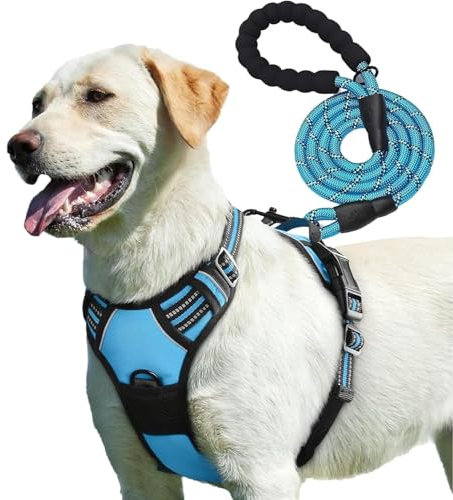 PetBuds Adjustable No Pull Dog Harness with Free 5ft Leash, Breathable and Durable for All Breeds (Blue, Medium)