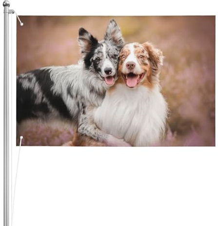 Australian Shepherd Hunde Paar Hunde Aussies, Gartenflagge, Hof, dekoratives Banner, doppelseitige Flagge, 60 x 90 cm, für drinnen und draußen