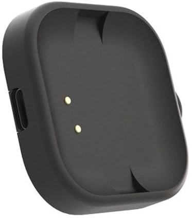 Magnetische Ladestation mit Lanyard Loch, die eine gleichzeitige Stromversorgung für Action Kameras ermöglicht Magnetisches Dock