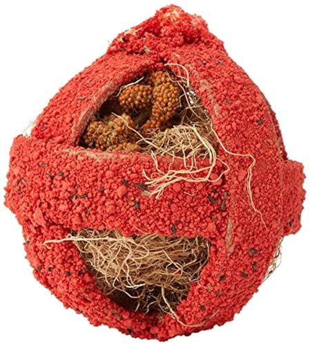 Quiko Fitness Foodball Rojo 100g - Snack und Spielspaß für alle Ziervögel | Snack und Spielspaß für alle Ziervögel
