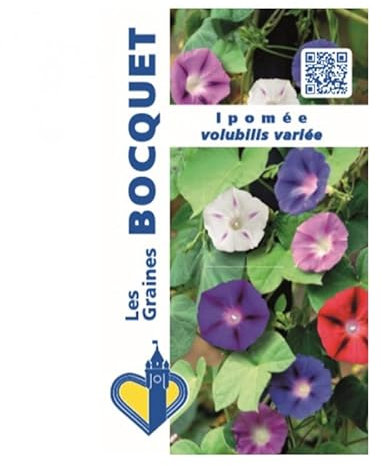 Sachet de graines de Ipomée volubilis variée - 3 g - fleur annuelle - LES GRAINES BOCQUET