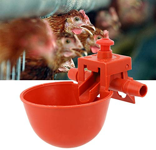 Haofy 10 Stück Hühnertränke Geflügeltränke, Hühnergeflügeltränke Waterer Wasserschale Tasse Trinkwasser Werkzeugkäfig Zubehör