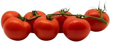 BAMELO® Tomaten frische Strauch Tomaten Kiste 5 Kg