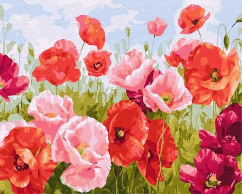 Artnapi Malen nach Zahlen Erwachsene ohne Rahmen | DIY Handgemalt | Blumen - Mohnfeld | Kit für Anfänger und Erwachsene | Set inklusive Acrylfarben & Pinsel | 40x50cm Leinwand