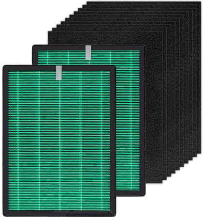 (2 pezzi) Airmega 150 filtri di ricambio per purificatore d'aria Coway Airmega 150, H13 True HEPA e filtro ai carboni attivi, 2 filtri verdi e 10 filtri a carbone attivo, AP-1019C-FP