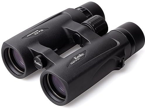 Kenko Fernglas Ultraview EX OP 8x42 DH III, Dachkantprisma, wasserdicht IPX7, für Outdoor, Konzert, Sportbeobachtung, schwarz, 331002