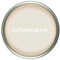 Vintro Paint | Satin Furniture Paint | Light Peach | Wood | Trim | Metal | Eggshell Finish | 1 Litre (Autumn Glow)