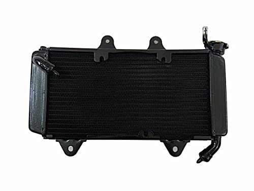 AEspares Radiateur complet sans ventilateur compatible avec KTM Duke 200 2013 à 2019