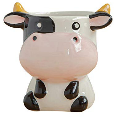 Animal Pot - Maceta para plantas suculentas de cerámica para bonsái, orquídea, transparente, 15 cm (C, talla única)