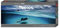 Unbekannt HY29470 KV&H Verlag GmbH Stingray, 1000 Teile Panoramapuzzle Puzzle, Brown