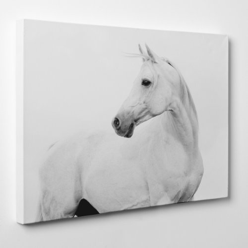 Peinture sur toile Moderne – Cheval Blanc – Animaux d'équitation Équine – (Cod. 025), Épaisseur : Gallery 4 cm, Blanc, Size: 28x40 inch