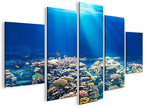 islandburner Bild Bilder auf Leinwand Unterwasser Tauchen Korallen Meerwasser MF XXL Poster Leinwandbild Wandbild Dekoartikel Wohnzimmer Marke