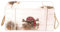 MYBOXES Piratenkiste in 3 Größen (30x18,5x14,5)