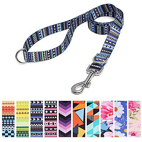 Suredoo Hundeleine Verstellbare, Weich & Komfort Nylon Haustier Trainingsleine mit Doppel-D-Ringfür Kleine Mittlere Große Hunde, 120cmx2cm (Blau)