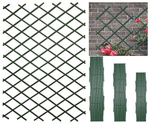 AQS INTERNATIONAL - Plastic Wall Expandable Trellis - Expanding Plant Climbing Vine Crepe - Garden PVC Fence Green Garden Screening, Garden Trellis, Fence Toppers, Fence (L100 x W200cm (39 x 79))