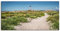 ARTland Wanddeko Leinwand Bilder Wandbild 150x75 cm Architektur Gebäude Leuchtturm Fotografie Blau Leuchtturm auf der Insel Amrum S5XX