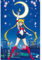 GB eye Sailor Moon 61 x 91,5 cm / 24,2 x 35,8 Zoll Maxi-Poster – Gerollt geliefert – Kunstposter – Wandposter – Poster & Drucke | Sailor Moon Merchandising