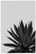 artboxONE Metall-Poster 30x45 cm Natur Ginkgo Palm Black White von Künstler Orara Studio