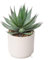 Plantes succulentes artificielles dans un pot en céramique - Agave Shaka Zulu - Décoration d'intérieur - Pour salon, table, étagère, salle de bain, bureau, cuisine