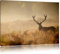 Pixxprint Rotwild Hirsch im Nebel, Größe: 60x40cm, Leinwandbild, fertig gespannt, Wandbild, Dekoration, Kunstdruck, kein Poster