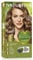 NATURTINT Biobased, Coloración Permanente Sin Amoniaco, 100% Cobertura de Canas, Tinte para el Cabello con Ingredientes Naturales, Color Intenso, Natural y Duradero, 7G Rubio Dorado, 170ml