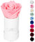 Infinity Flowerbox - 1 echte Infinity Rosen (3 Jahre haltbar ohne Wasser) - Direkt mit Geschenkverpackung geliefert I Handgefertigt in Berlin I Geschenk für Frauen (Rosa Rose in weißer Box)