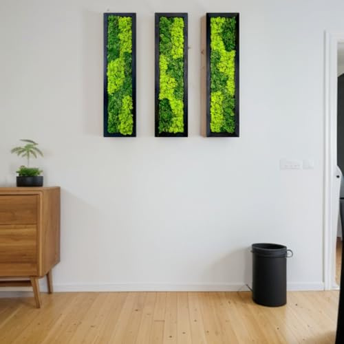lagom Moosmuster-Wandkunst – echtes Moos, keine Wartung – umweltfreundliche, natürliche grüne Wanddekoration – Moos gerahmt – moderne Wanddekoration mit lebender Pflanze (6)