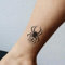 Faux Tatouage ARAIGNÉE - Temporalis® | Tatouage Ephemere Femme et Homme – Cosmétique Certifié UE, Encre Vegan & Waterproof – Dure 1 à 2 semaines [ Tattoo Araignée noire ]