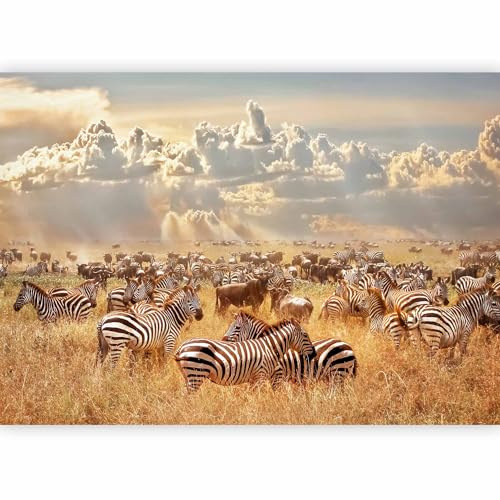 murando Photo Wallpaper Africa 343x256 cm Peel and Stick Self-Adhesive Foil Print Wall Mural Wand Animals Savannah Landscape Nature g-B-0145-a-a