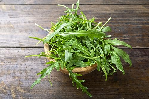 1000 Samen Wilde Rauke Rucola selvatica Rukola Salat Vegan Rohkost Winterhart