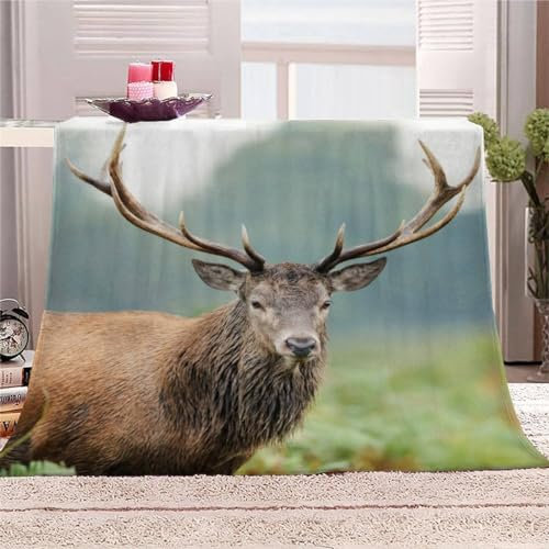 AKATIE Kuscheldecke REH 3D-Druck Kinder Sofadecke Flanelldecke Tier Elch Couchdecke Flauschige Wohndecke 130x150 cm Reisedecke Sofaüberwurf Decke