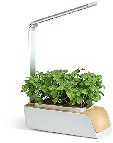 Jardin d'herbes aromatiques d'intérieur, système de Culture hydroponique, kit de Jardin d'herbes aromatiques d'intérieur avec Culture, avec LED, lumière de Croissance des Plantes à Spectre Complet