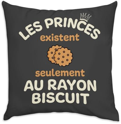 Fabulous Kissen aus schwarzem Samt – Die Prinzen existieren nur im Biscuit-Radius – 40 x 40 cm – samtiges Gefühl – Bezug und Kissen inklusive