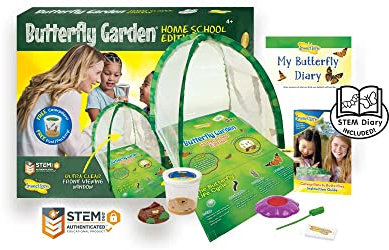 Insect Lore Butterfly Garden Home School Edition with 3-5 Caterpillars
