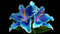 Lilienzwiebeln, Blumenzwiebeln, Blumenzwiebeln,Riesenlilien Baumlilien Winterhart MehrjäHrig,Winterhart MehrjäHrig, Frische Luft, Temperament,Gartenpflanzen-4zwiebeln-B