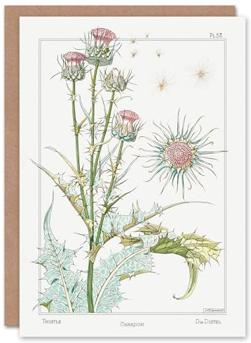 Artery8 Maurice Pillard Verneuil Art Card Thistle Flower Plant