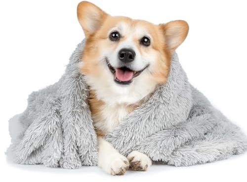 AEYAKA Flauschige Hundedecke Katzendecke – Weiche Doppelseitige Plüsch Haustierdecke aus Fleece, Warme Kuscheldecke Waschbar, Sofa Schutzdecke für Hunde & Katzen, Grau 56×36 cm