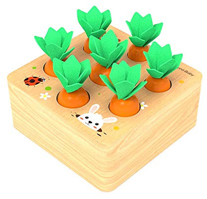 Felly Holzspielzeug ab 1 Jahr Baby Motorik Spielzeug für 12 Monate Montessori Sortierspiel Holzpuzzle Karottenernte Lernspielzeug für Kinder als Geburtztag Geschenk 1 2 3 Jahr Jungen Mädchen