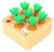 Felly Holzspielzeug ab 1 Jahr Baby Motorik Spielzeug für 12 Monate Montessori Sortierspiel Holzpuzzle Karottenernte Lernspielzeug für Kinder als Geburtztag Geschenk 1 2 3 Jahr Jungen Mädchen