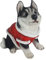 Aspinaworld Weihnachtsdeko, Weihnachts Hunde Figur Husky sitzt 15 cm, Weihnachtsfigur, Hundefigur, Wohnzimmer Deko, Dekofigur, Tierfigur