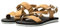 Jack Wolfskin Damen Urban Entdeckung Belt Sandal W Sandale, Fischer, Dunelands, 42.5 EU